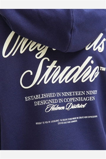 Jack & Jones JORNORREBRO TYPO BACK SWEAT HOOD SN - Ocean Cavern